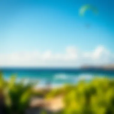 Perfect Kite Surfing Location A scenic beach view ideal for kite surfing