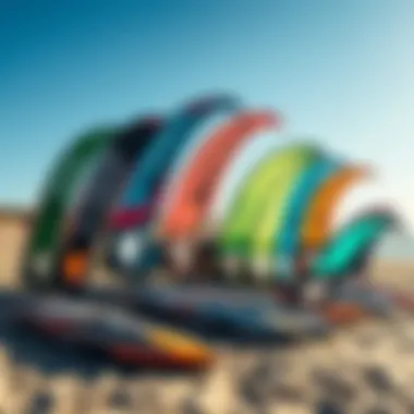 Diverse range of Naish kites displayed on the beach