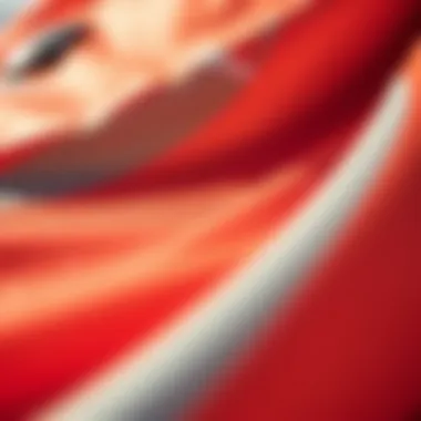 Close-up of Naish kite fabric showcasing advanced technology