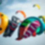 A variety of kites showcasing different designs and colors