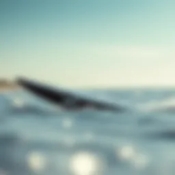 North Seek foil board showcasing its streamlined design