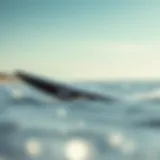 Streamlined Design of the North Seek Foil Board North Seek foil board showcasing its streamlined design