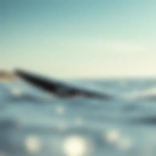 Streamlined Design of the North Seek Foil Board North Seek foil board showcasing its streamlined design