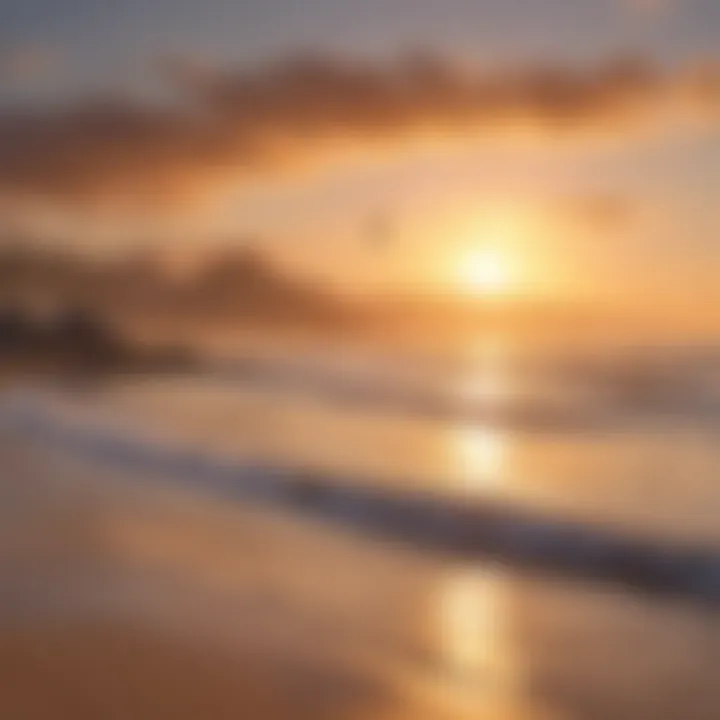 Visitors engaging in outdoor activities against a stunning sunset backdrop at Playa de Oro.