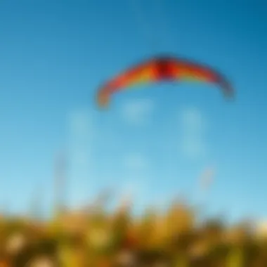 Understanding Power Kite Specifications A detailed diagram illustrating the specifications of power kites