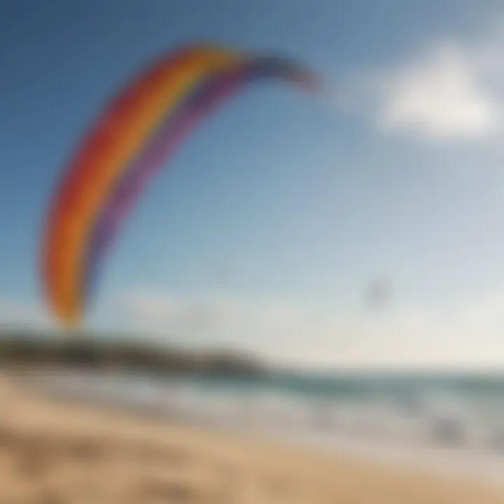 Diverse types of professional kites displayed on a sandy beach