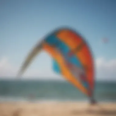 Close-up of a trainer kite showcasing its material and stitching