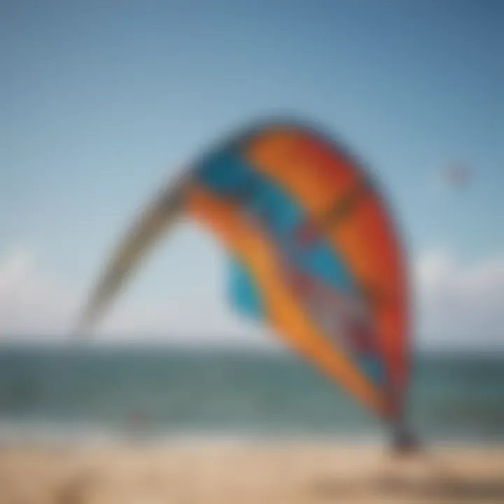 Close-up of a trainer kite showcasing its material and stitching