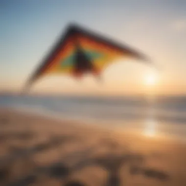 Different types of trainer kites displayed on the beach