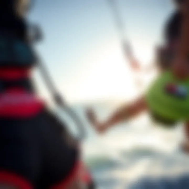 Shorts Harness vs Traditional Harness Comparison of a shorts harness with a traditional harness