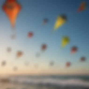 An array of different kites on display, illustrating various designs and sizes suitable for diverse wind conditions.