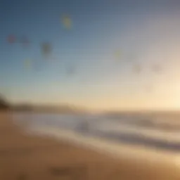 Variety of kitesurfing kites displayed on the beach