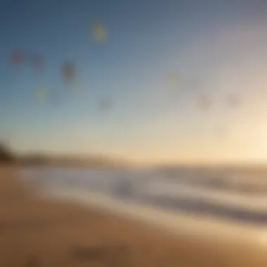 Variety of kitesurfing kites displayed on the beach