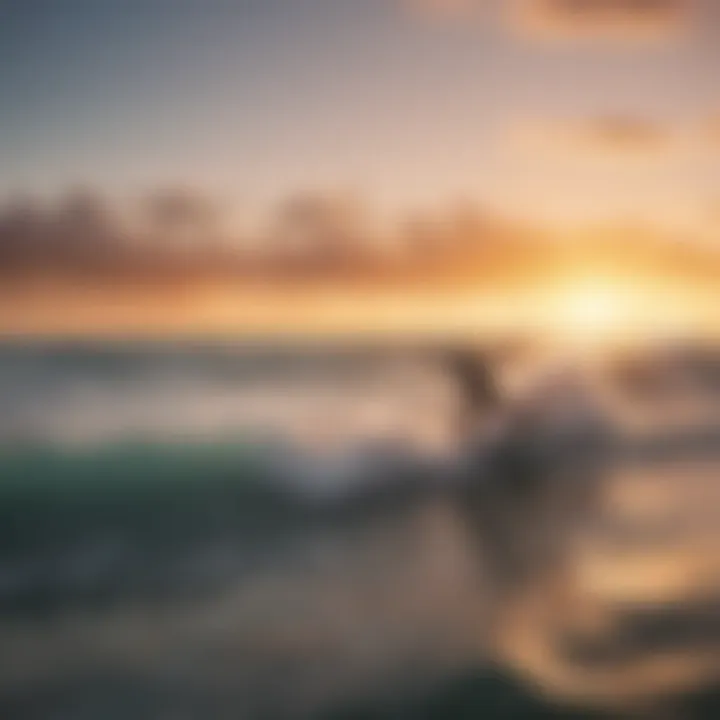 A foilsurfing community enjoying a sunset surfing session