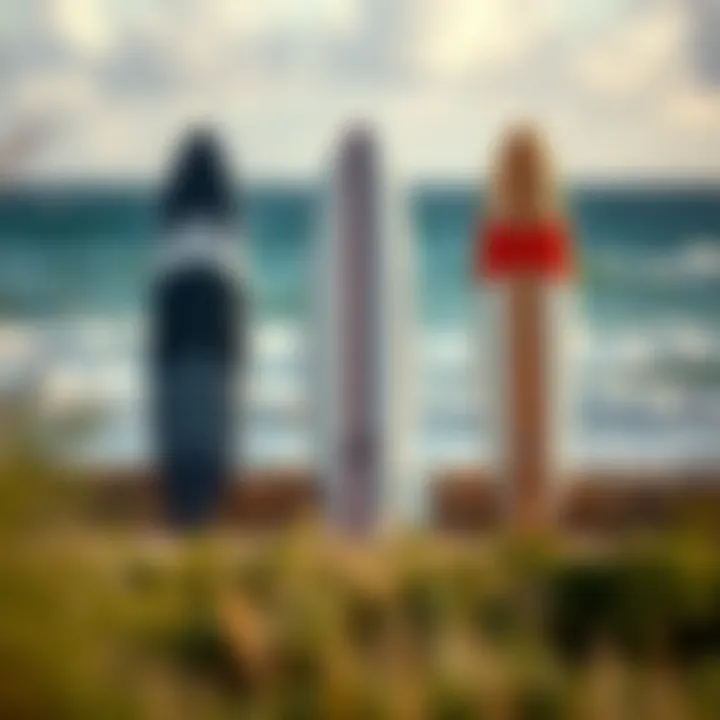 Comparison of various foil surfboard types in a side-by-side layout