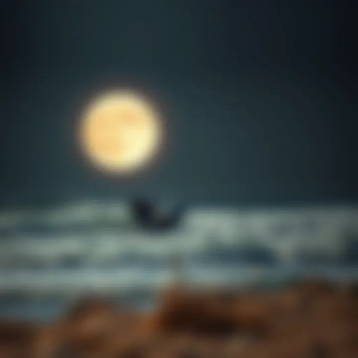Lunar cycle illustration affecting tides at Jones Beach