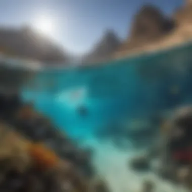 Vibrant underwater scene showcasing the ecological diversity of Wadi Lahami