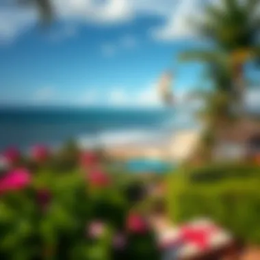 Scenic beach views surrounding Waves Village Resort